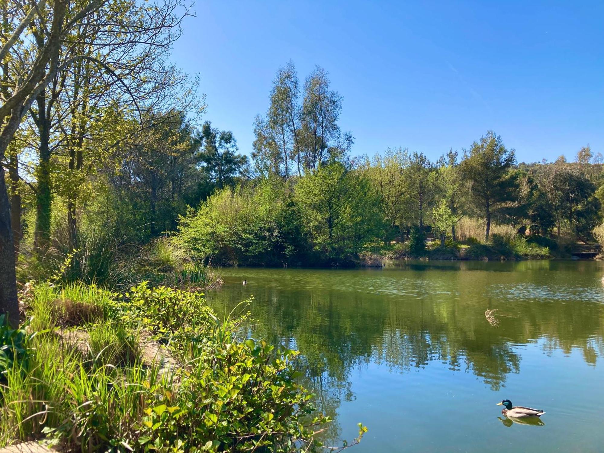 Les Restanques Vue Mer Pressoir 3131 Grimaud Luaran gambar